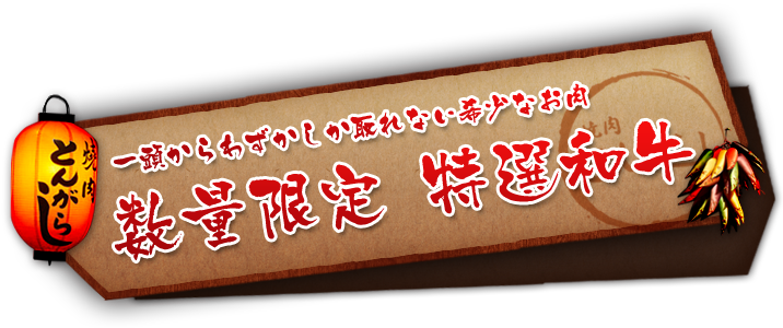 一頭からわずかしか取れない希少なお肉 数量限定　特選和牛