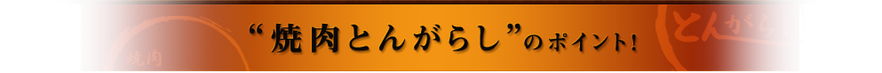 “焼肉とんがらし”のポイント！