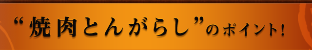 ‟焼肉とんがらし”のポイント！